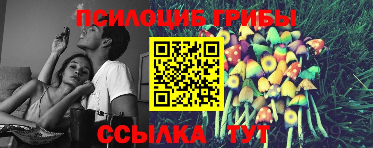 Псилоцибиновые грибы прущие грибы  Галлюциногенные грибы Psilocybine cubensis  Белово  Вход с VPN 